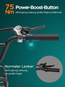 ENGWE E Bike Herren mit 48V 13Ah Batterie, 20 * 4.0 Zoll, 7-Gang Getriebe mit LCD-Display, 250W Motor & 25km/h, Reichweite bis zu 120km L20/L20 Boost