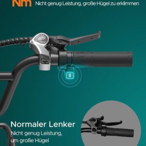 ENGWE E Bike Herren mit 48V 13Ah Batterie, 20 * 4.0 Zoll, 7-Gang Getriebe mit LCD-Display, 250W Motor & 25km/h, Reichweite bis zu 120km L20/L20 Boost