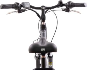F.LLI Schiano E-Ride, E Bike Trekking 28 Zoll, 36V 10.4Ah Abnehmbarer Akku, Motor 250W 40Nm, Trekking EBike für Herren